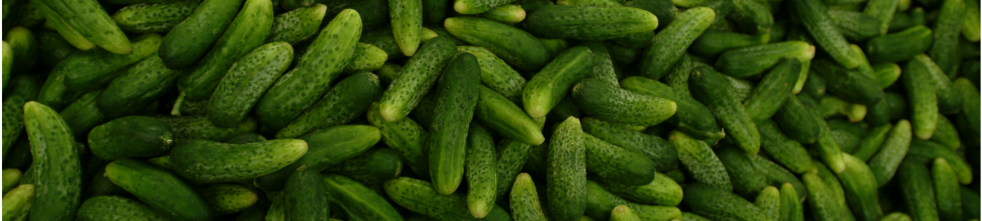 Bandeau fin de page marque Reitzel et pickles